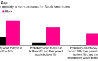 Racial Gap chart image