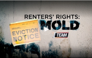 Mold Video